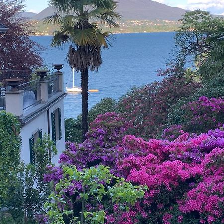 Apartamento Giardini Magnolia Belgirate Exterior foto