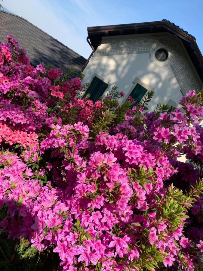 Apartamento Giardini Magnolia Belgirate Exterior foto