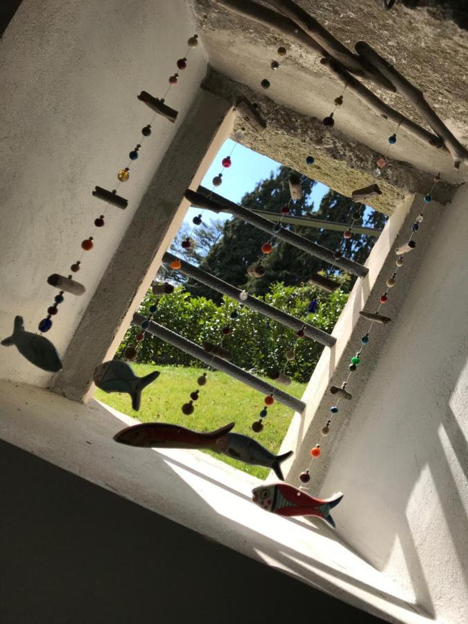 Apartamento Giardini Magnolia Belgirate Exterior foto