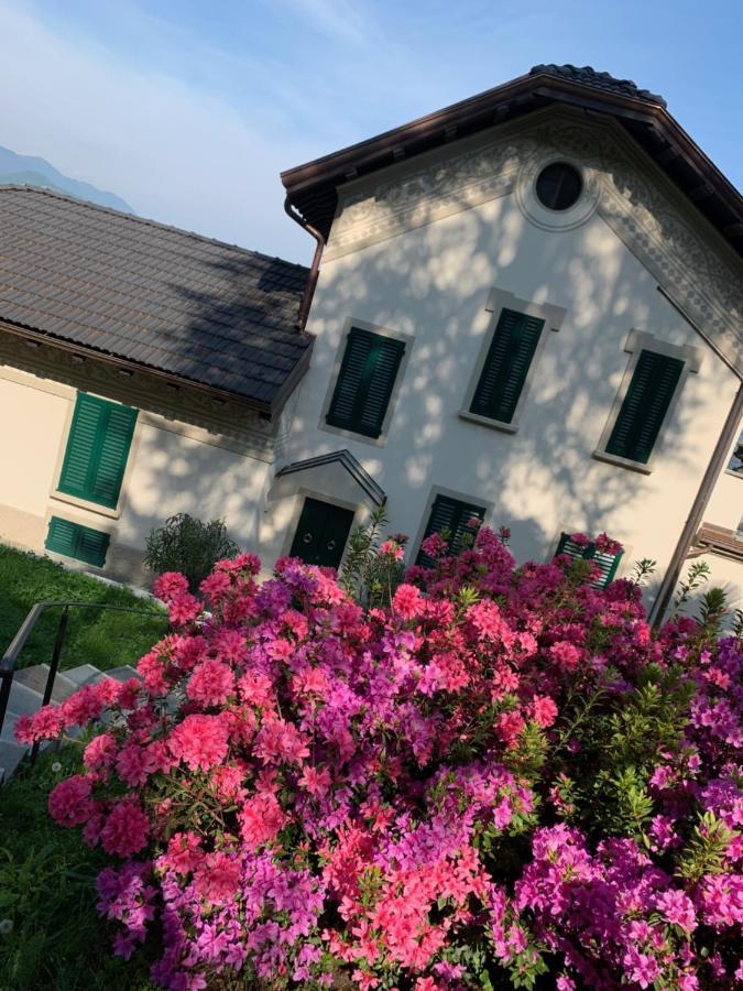 Apartamento Giardini Magnolia Belgirate Exterior foto