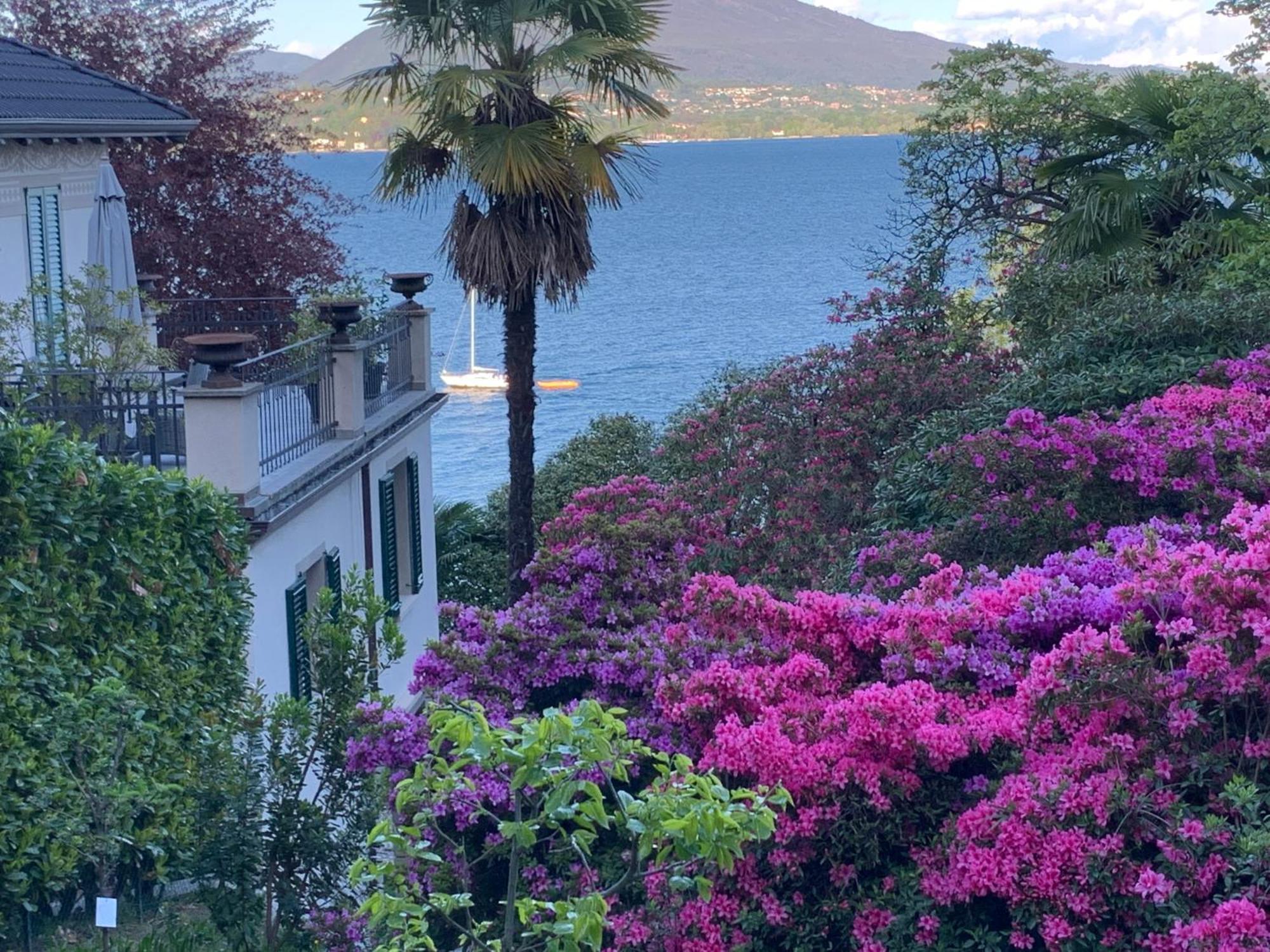 Apartamento Giardini Magnolia Belgirate Exterior foto