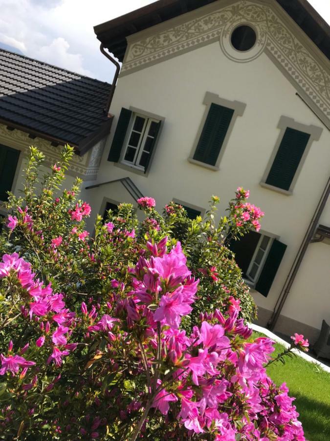 Apartamento Giardini Magnolia Belgirate Exterior foto
